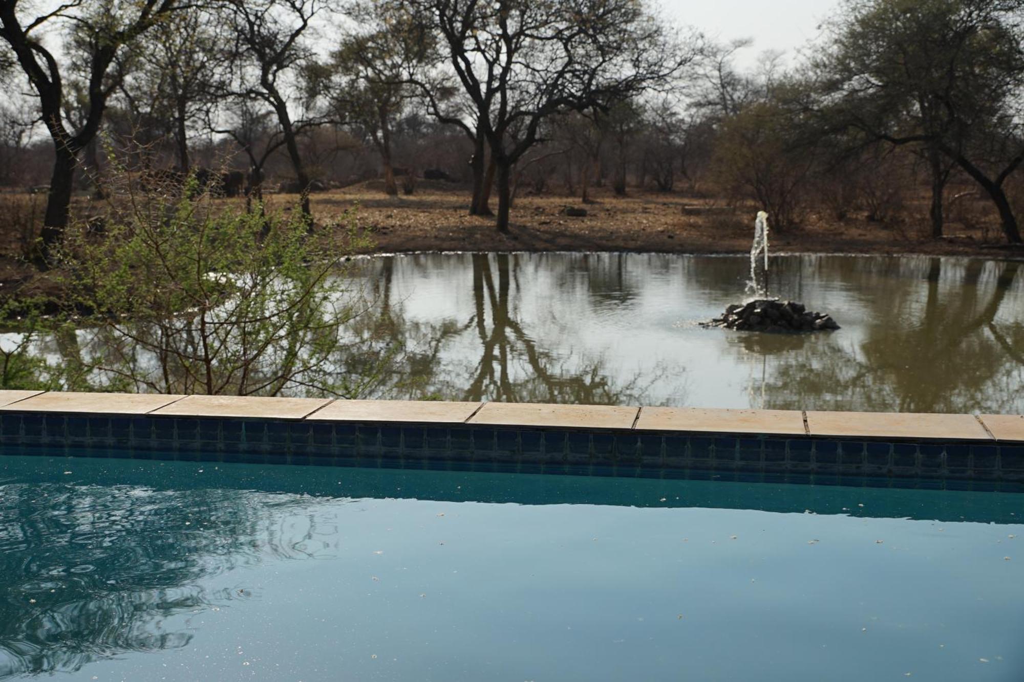 Kwele Game Lodge Beauty Екстериор снимка